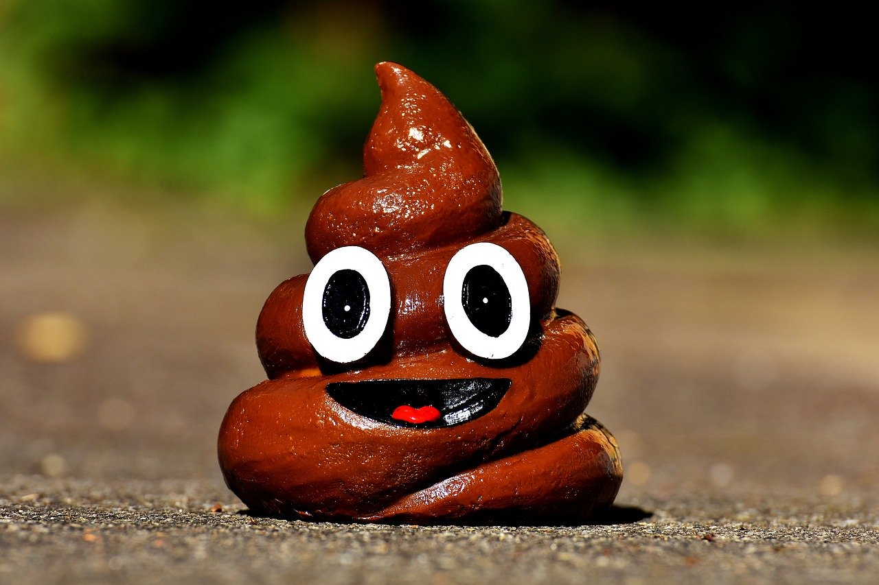 A pile of poop with eyes and a smile