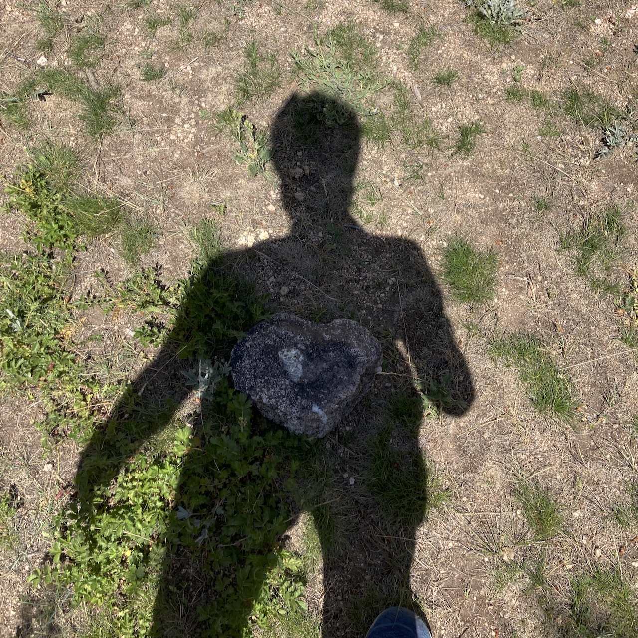 Caleb's shadow is seen on the grass with a rock in the shape of a heart sitting under the shadow's chest.